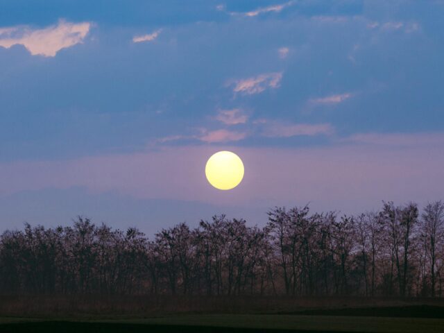 Luna Llena en Acuario: Un Baile Cósmico entre el Pasado y el Futuro – 1 de Agosto 2023